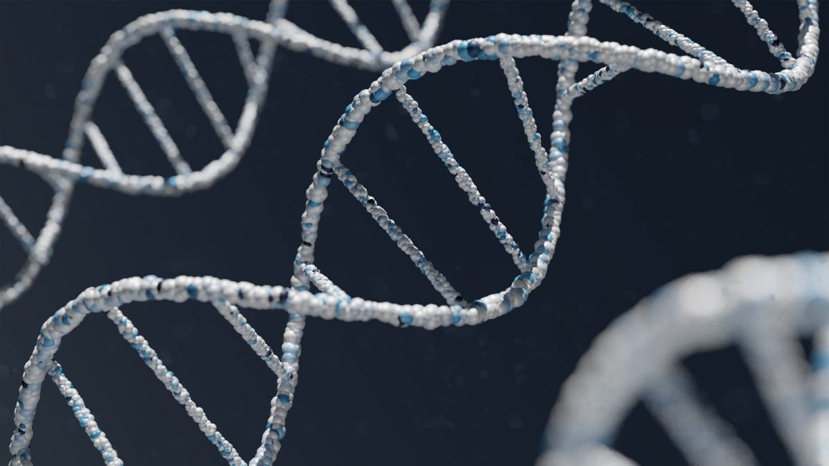 July 10th Sunday service, 10:30 a.m.: What I learned from my DNA (with Rachel Garber)