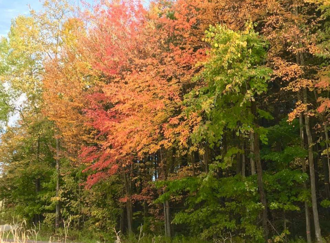 Sunday, Oct 1, at 10:30 a.m.: Autumnal Wisdom from the Mystics with Amy Panetta