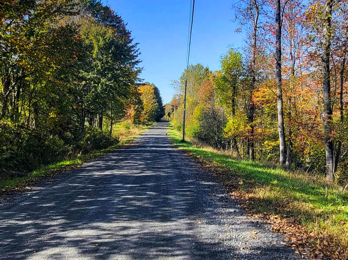 Sept 28th, 10:30 a.m. Autumnal Walk / Promenade automnale with Melanie McCrea