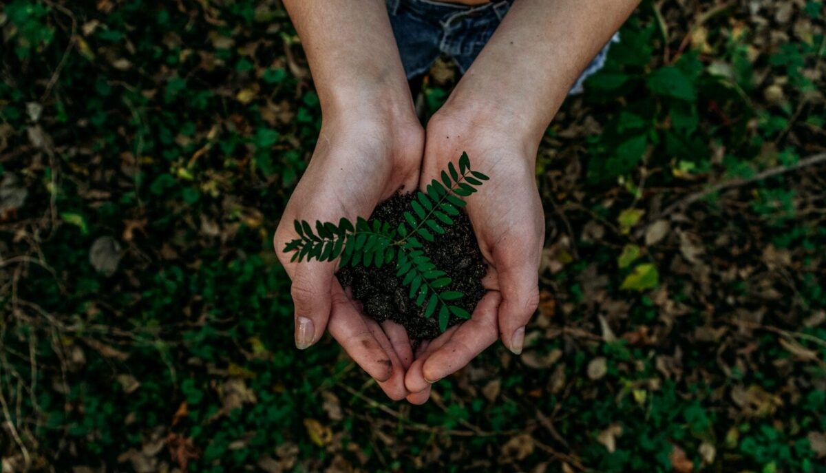 Sunday April 26, Earth Day/Jour de la Terre avec Camille Bouskéla