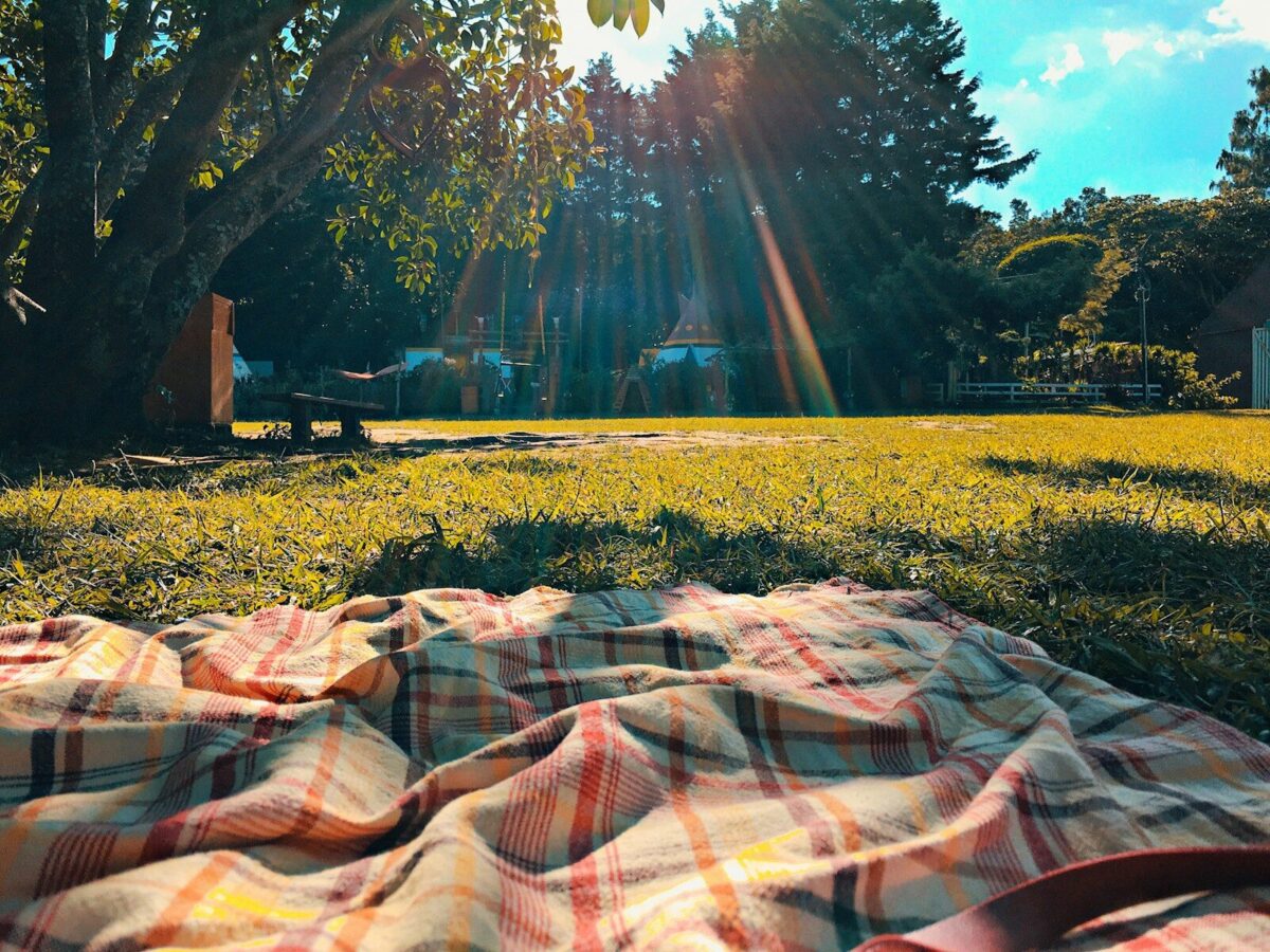 Sunday July 12th at 11 am / Dimanche 12 Julliet à 11h – Community Picnic at River Park